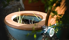 alternative Garden Pots